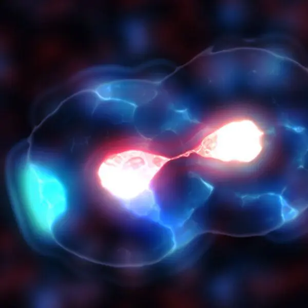 Représentation d'une cellule souche de multipliant.