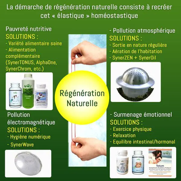 Infographie explicative de l'effet élastique de la santé, partie 2.