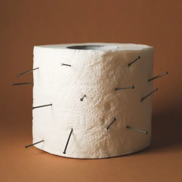 Un rouleau de papier toilette avec des clous plantés dedans.