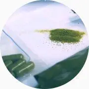Tests sur l'AFA de Klamath pour en garantir la qualité.