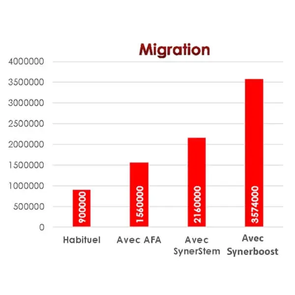 Charte graphique comparant la migration des cellules souches adultes de moelle osseuse en situation normale, en consommation d'algue Klamath, de SynerSTEM et de SynerBOOST.