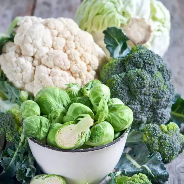 Un assortiment de choux et de crucifères, des aliments qui fermentent dans l'intestin.