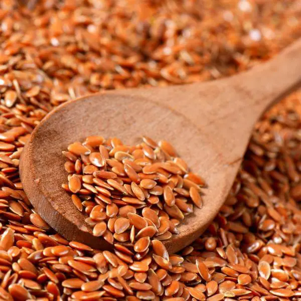 Des graines de lin, riches en fibres insolubles, des aliments qui fermentent dans l'intestin.