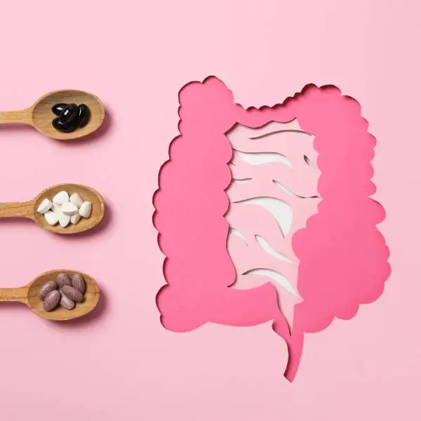 Trois cuillères en bois avec des gélules d'enzymes digestives à coté d'un intestin en papier rose.