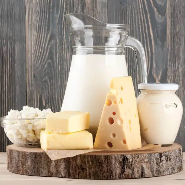 Un assortiment de produits laitiers,des aliments qui fermentent dans l'intestin.