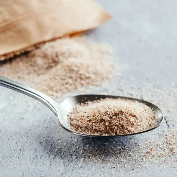Une cuillère remplie de psyllium.