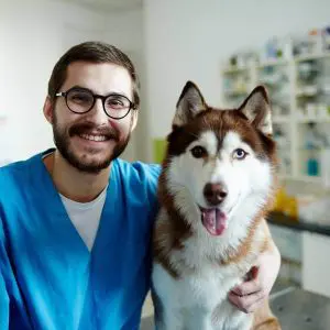 Un vétérinaire et un chien.