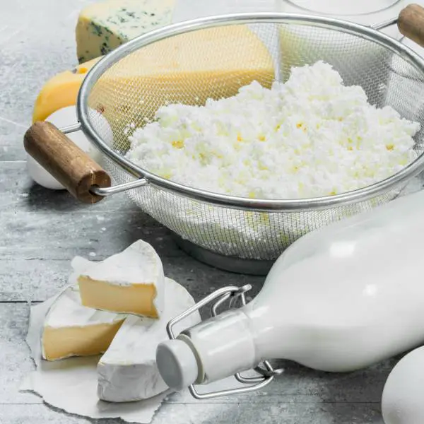 Un assortiment de produits laitiers, des aliments à éviter en cas d'intestin qui fuit.