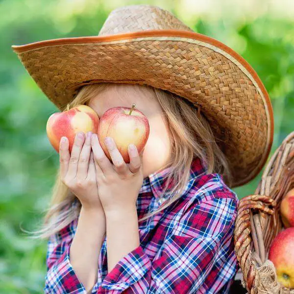 Une petite fille se cache les yeux avec des pommes.