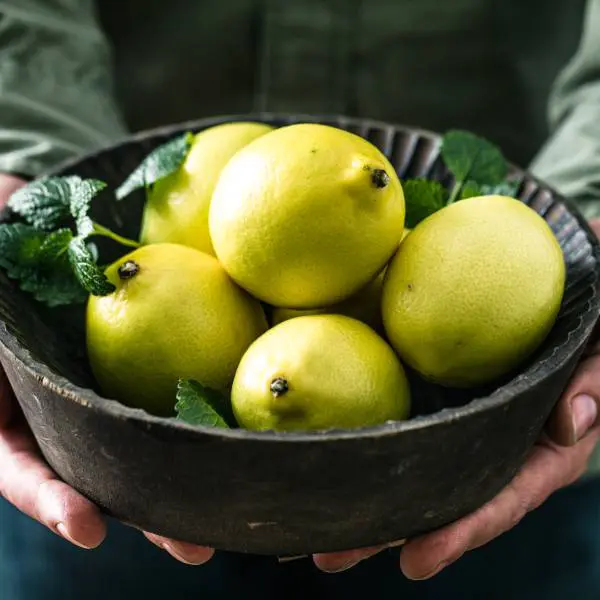 Un bol de citrons jaunes.