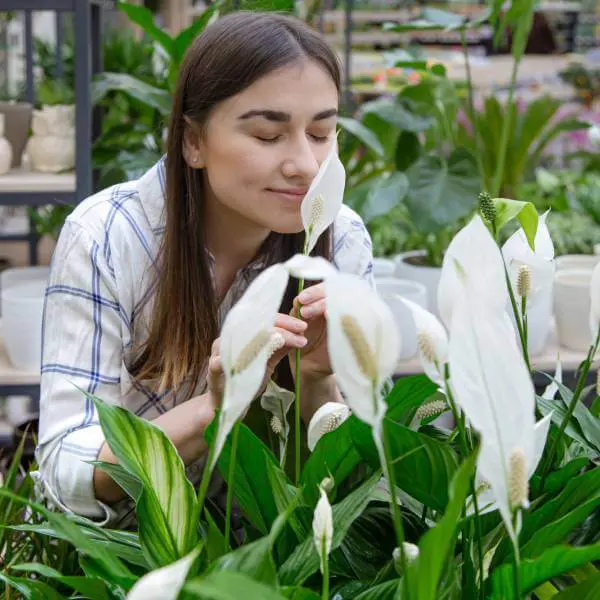 Une jeune femme sent la fleur d'une plante verte.