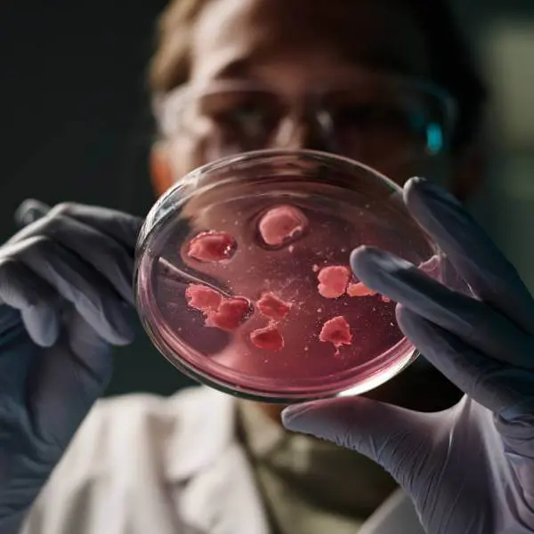Une scientifique avec une culture de cellules souches.