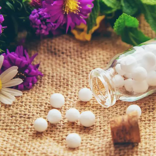 Gros plan sur des granules d'homéopathie.