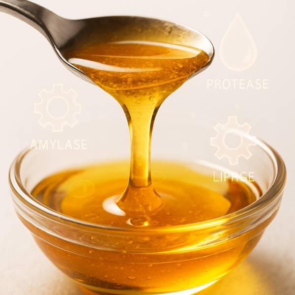 Goutte de miel illustrant la richesse enzymatique favorisant la digestion	