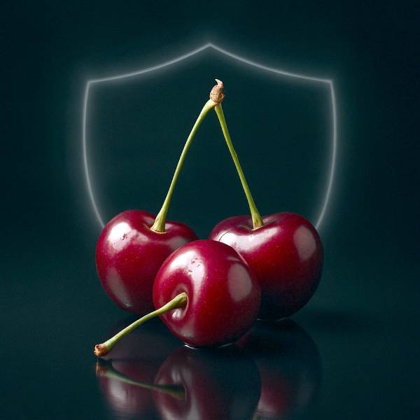 Cerises rouges entourées d’une aura protectrice suggérant leur pouvoir antioxydant