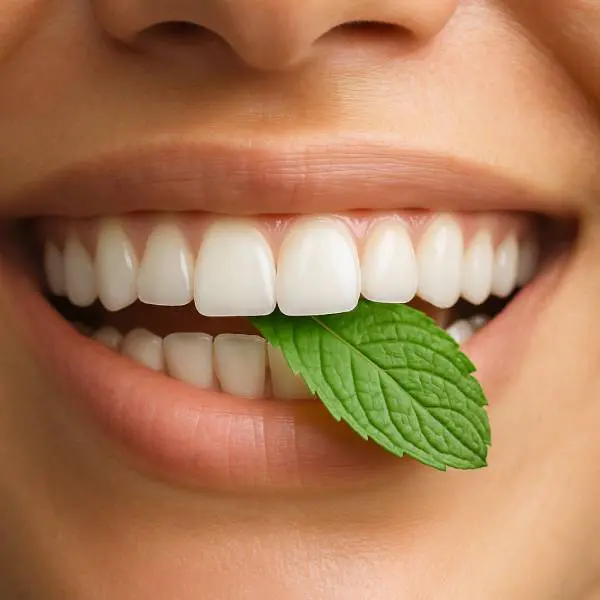 Sourire éclatant tenant une feuille de menthe entre les lèvres